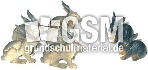 Hasen5+2.jpg